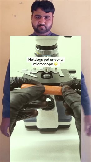 Microscope Zooming: Discover Hidden Worlds