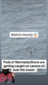 28K views · 1.4K reactions | Pods of Mermaids - Sirens are getting caught on camera all over the Ocean #sirens #mythicalcreatures #fypシ゚viralシfypシ゚ #fypreelsシ゚viralシ | French Dose | Facebook