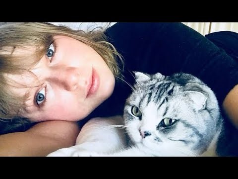 Pets Combo Subliminal🐈🐇🐕