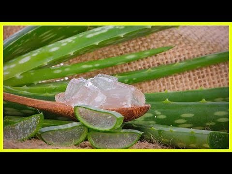 Comment traiter la gale grâce à ces 3 remèdes maison