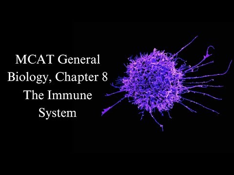 2024-2025 MCAT General Biology, Chapter 8- The Immune System