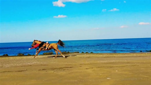 Elegant & fast Karabakh Horse of #Azerbaijan at the Caspian Sea. Equestrian: 11-year-old Gulay Farzaliyeva from #Aghdam | Consulate General of Azerbaijan in Los Angeles
