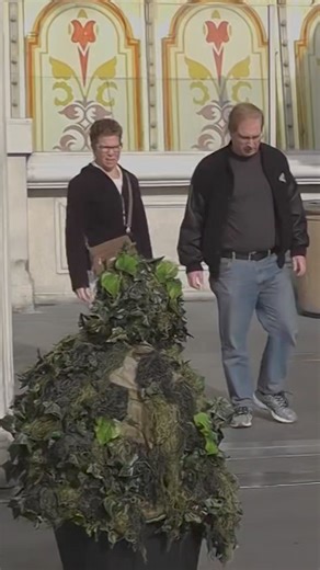 48K views · 293 reactions | #screaming #prankvideo #funny | The Crazy Bushman | Facebook