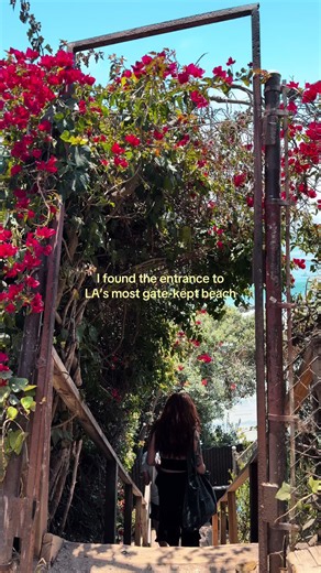 My go-to spot this summer #losangeles #malibu #beachvibes | lechuza beach