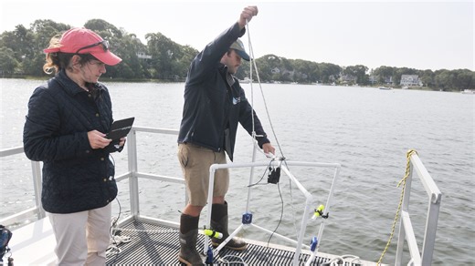 Water quality report: 90% of Cape Cod's tested coastal embayments are 'unacceptable.'