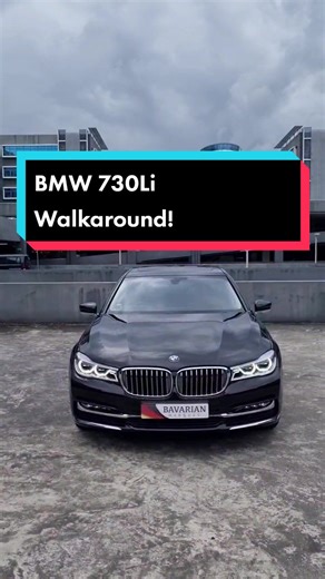 BMW 730Li: Luxurious Walkaround with Sunroof