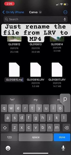 How to convert LRV file to MP4 #goprohero9 #filesharing #MP4