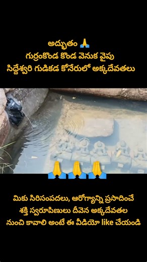 గుర్రంకొండ వెనుక సిద్దేశ్వరి గుడికడ కోనేరులో అక్కదేవతల దివ్య దర్శనం #Akkadevathalu #Gurrankonda