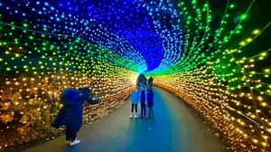 Franklin Park Conservatory lights up the holiday season with Conservatory Aglow, Holiday Blooms exhibits