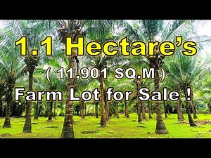 1.1 HECTARE'S FARM LOT FOR SALE ( PROP# 215 ) SAN PABLO CITY, LAGUNA