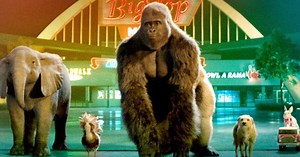 4 filmes para celebrar o Dia Mundial dos Animais