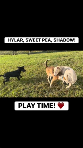 7.6K views · 110 reactions | Today at MARL, we had a lot of...