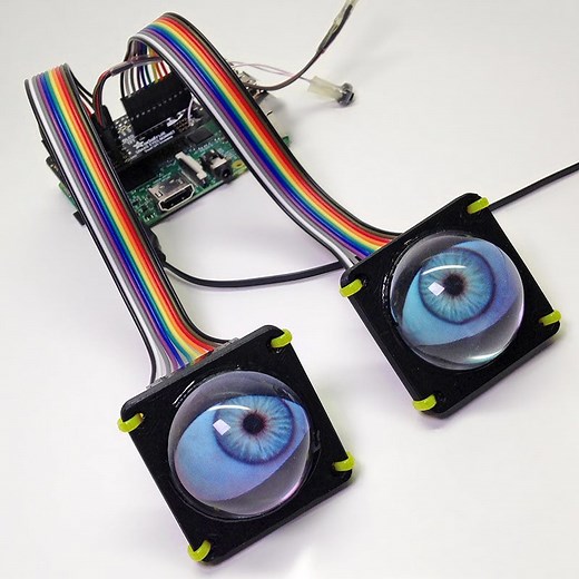 Animated Snake Eyes Bonnet for Raspberry Pi #Raspberrypi