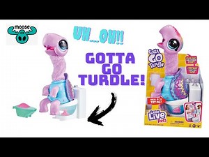 Little Live Pets NEW Gotta Go Turdle - SHELBERT Unboxing & Review!