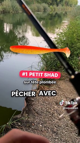 Sandre : où le trouver, ce qu'il mange et 3 leurres efficaces