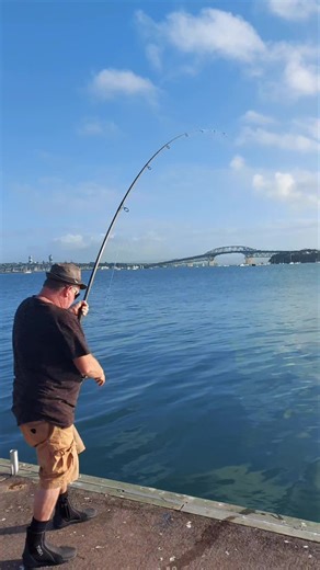 Auckland Fishing: Mud Marlin Adventure in the Harbor