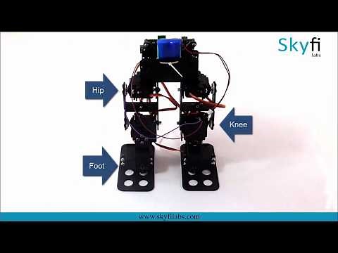 Learn & Build your own Biped Walking Robot - Skyfi Labs Mechatronics Project