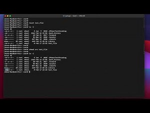 Mac OS Terminal - chmod