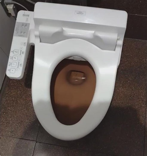A Brown Colored Toto C48AS Toilet. #toto #toilet #flush #restroom