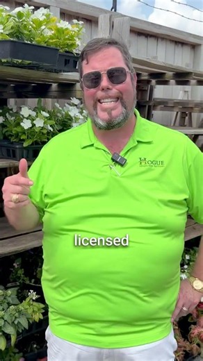 How To: Houston Low Maintenance Landscape