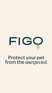 Figo offers up to 100% reimbursement on your eligible vet bills. For your sanity. | Figo Pet Insurance | Facebook