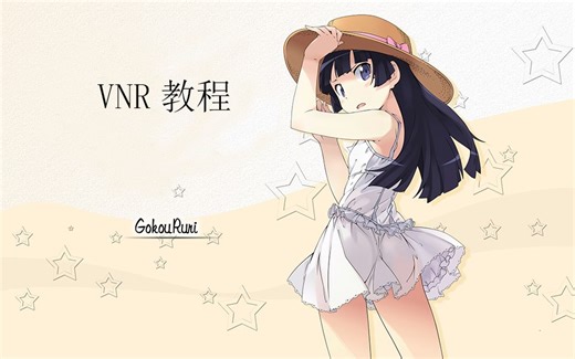 VNR（机翻）教程