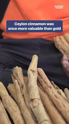 1.4K views · 29 reactions | #Ceylon cinnamon was so sought after in the 13th century, that it became a status symbol for the rich. #SriLanka #cinnamon | Business Insider Africa | Facebook