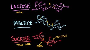 Carbohydrates- di and polysaccharides