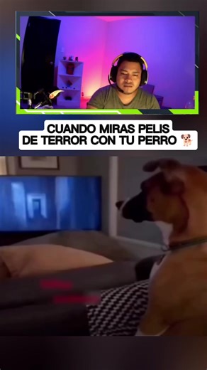 Hilarious Dog Scares: Funny Moments Compilation