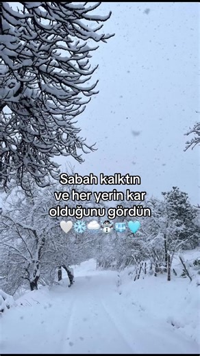 Kış Manzarası: Karla Kaplı Yılbaşı Gözlemleri