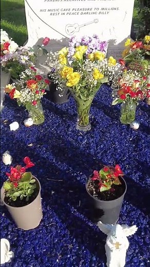 Billy Fury's Grave.His hit singles include "Wondrous Place", "Halfway to Paradise"