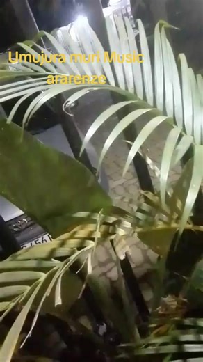 injaruwa#foryoupage #foryoupage