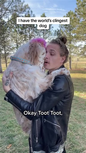 Funny Dogs Training Tips for New Dog Owners