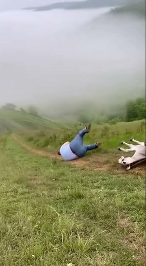 The FUNNIEST Donkey Fail EVER Caught on Camera