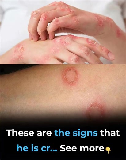 These are the signs that he is cr... See more | K Line Global