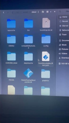 How to find mod folder for sims 4 in Linux fedora