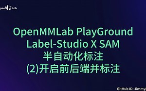 Label-Studio X Segment Anything Model 半自动化标注（3）：开启前后端并标注