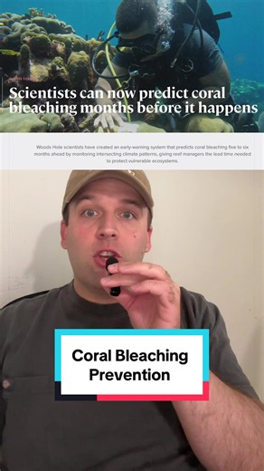 Coral 🪸 bleaching is a huge concern in the ocean, but scientists are finding ways to catch it early on and take preventative measures #marinebiology #coral #tiktoklearningcampaign #ocean #learnontiktok