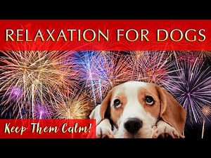 Calming Music for Dogs During Fireworks 🧨 Keep Them Calm!