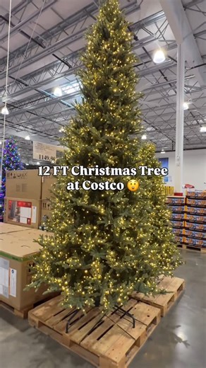 Costco New Deals |Alejandra Martinez on Instagram: "12 FT Christmas tree has just arrived at Costco and it’s already selling out 😲. This Christmas tree has more than 4,000 twinkle LED lights and a remote controller / dimmer. #costco #costconew #costconewdeals #costcofinds #christmastree"