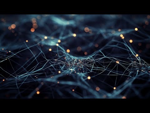 A multiscale map of inflammatory stress | Frontiers in Science