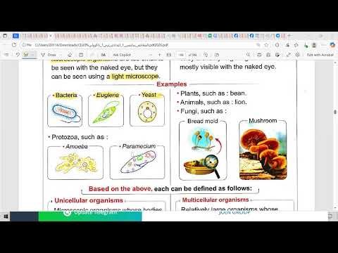 Science - prep1- Unit 3- lesson 1 - the cell and life - part1