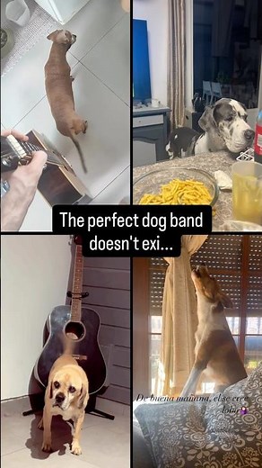 What's this band called? 🐶🎸🥁🎤