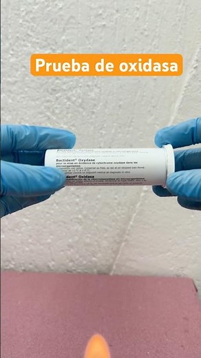 Oxidase test: Negative and positive #bacteriology #bacteriologicalanalysis #shortvideo