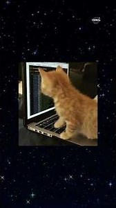 Variables & Datatypes in 60 Seconds | Learn Programming Faster | Projects Explained