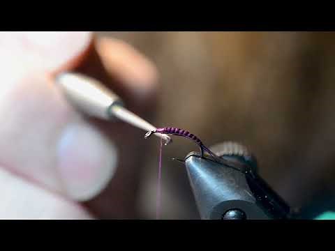 Darth Baetis Variation Purple Fishing Fly