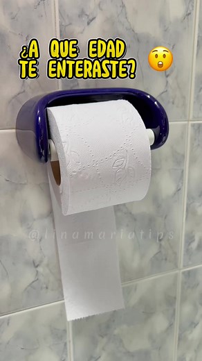 7.1M views · 26K reactions |  ¡He visto en muchos hogares ponen el papel higiénico de forma equivocada ❌¿Tú como lo haces?#tipshogar #ideascreativas #home#tips #truquito #YaLoSabias | Tips de Lina | Facebook
