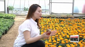 ICT technology helps produce better quality agricultural products, makes farming less labor-intensiv