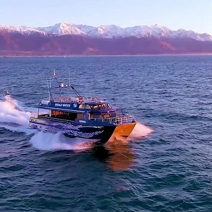 923 reactions · 106 shares | Seas the day and explore from mountain to sea aboard the Coastal Pacific train. | Great Journeys New Zealand | Facebook