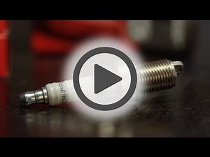 Champion Racing Spark Plug